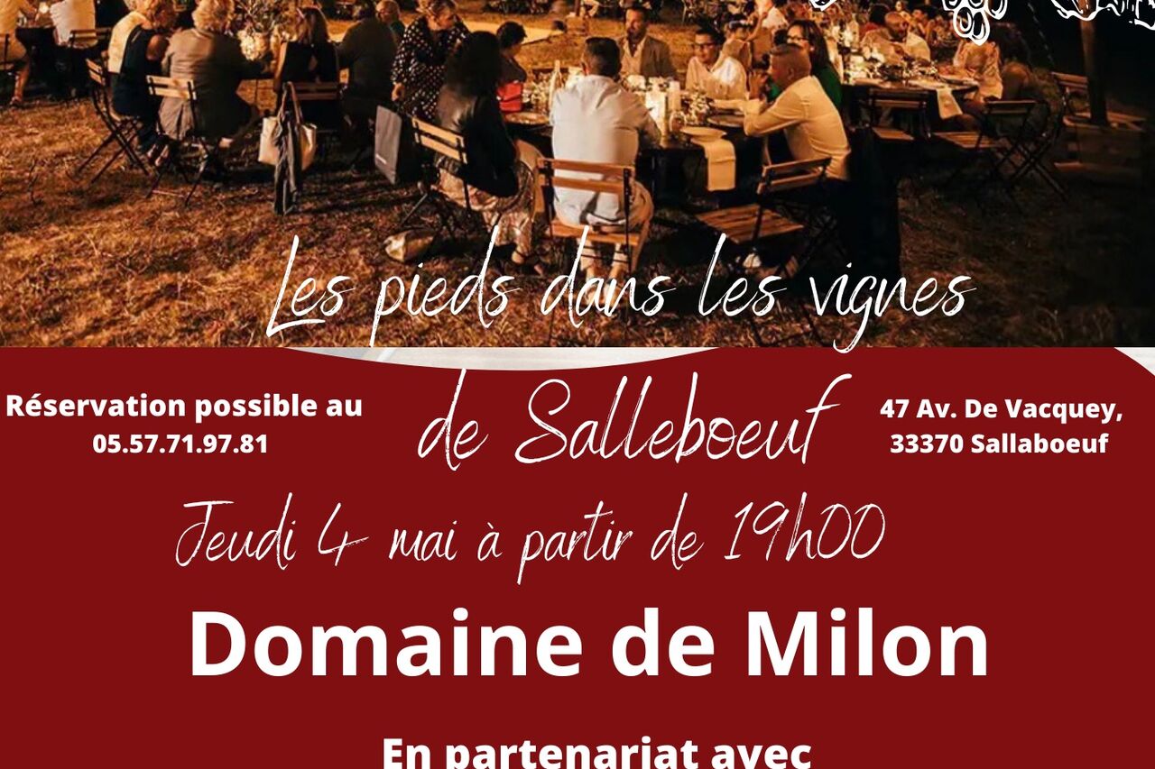Les pieds dans les vignes de Salleboeuf