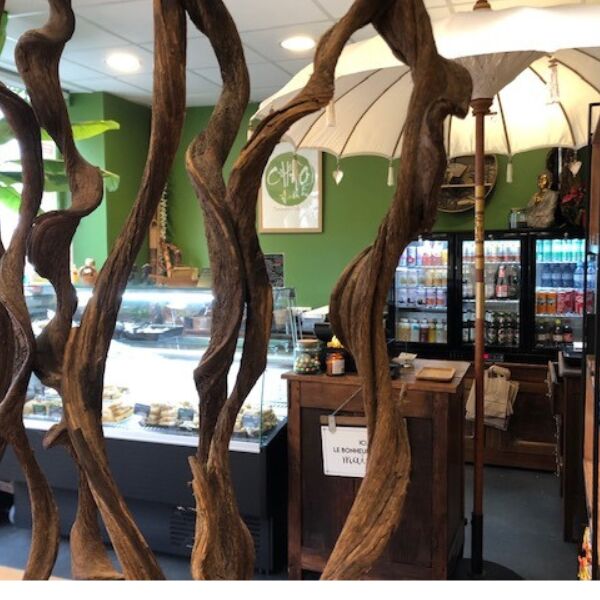 Derrière les racines exotiques