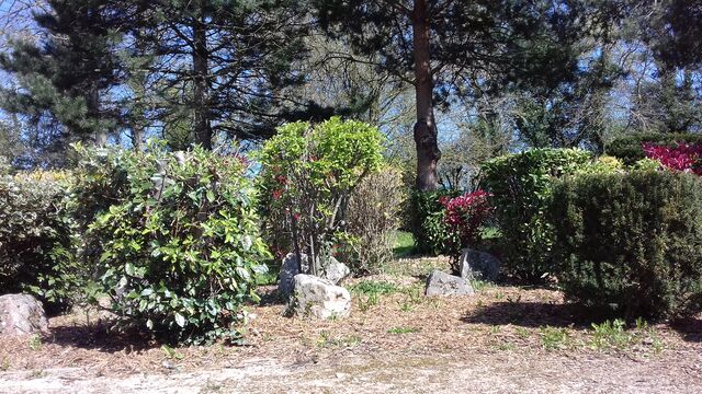 Coin verdure