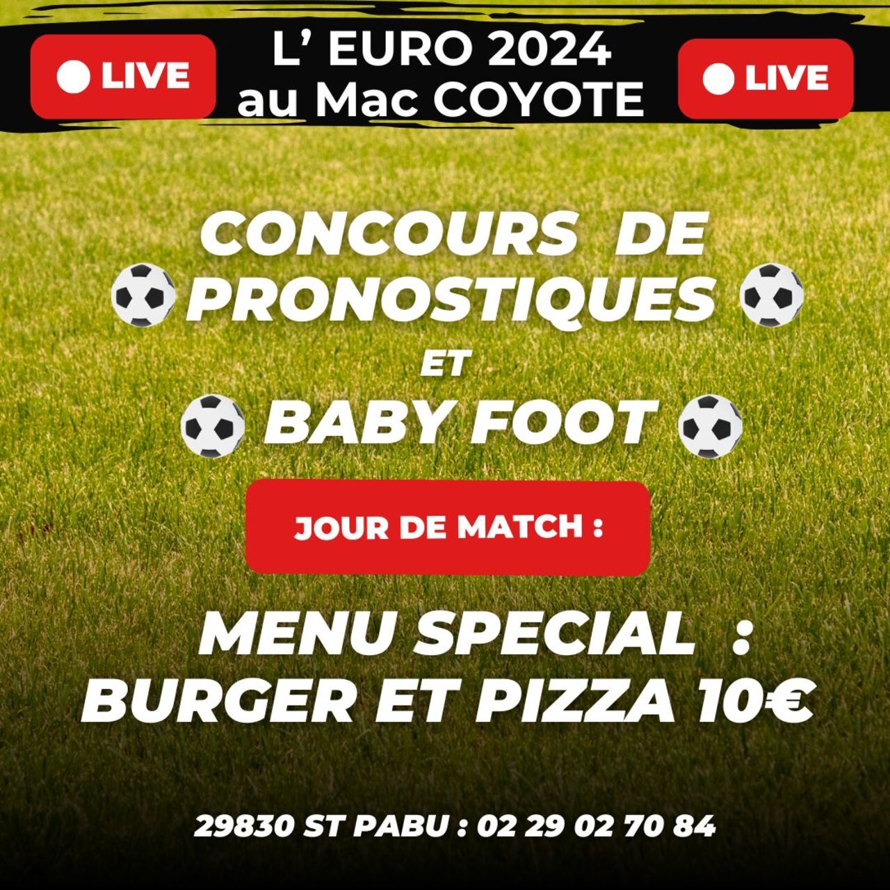 COUPE DE L EURO 2024