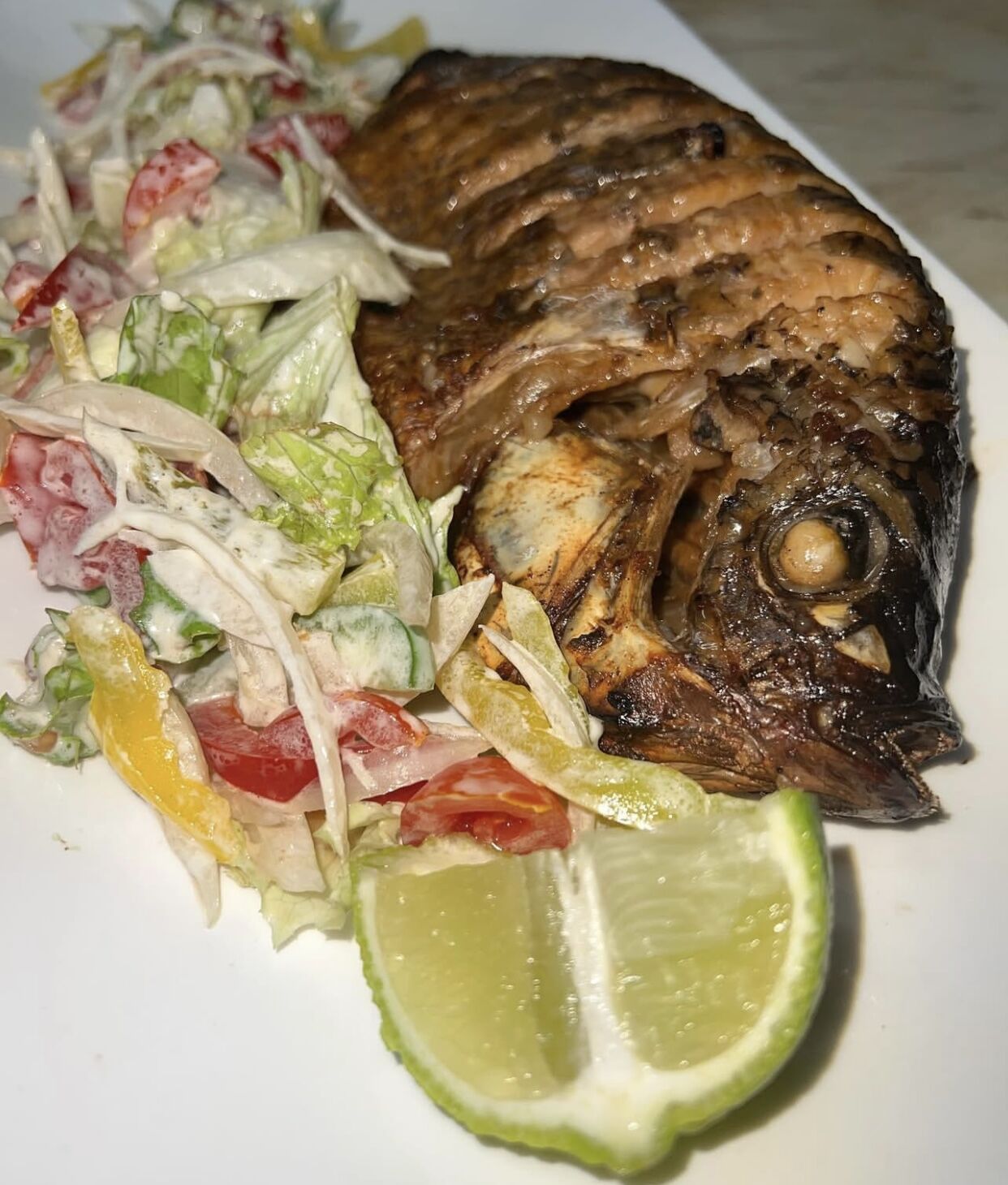 Tilapia