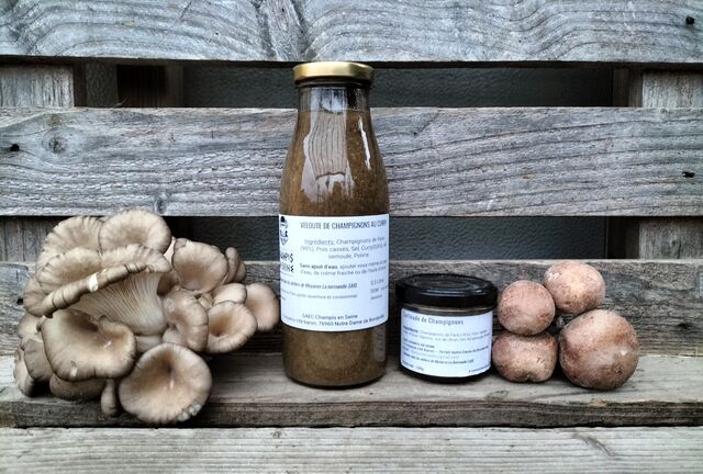 Soupe, Tartinables - champi en seine