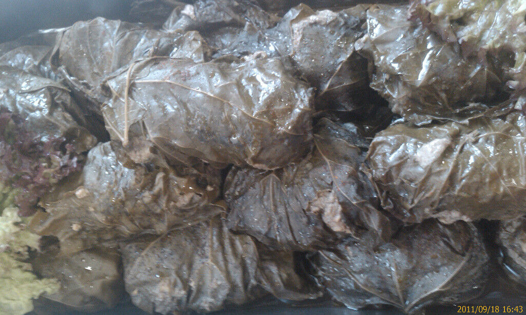 Dolma (Hackfleisch in Weinblätter)
Долма