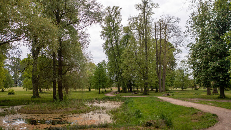 Foto by Lichtblicke Jula Welzk