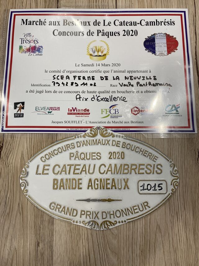 Différents prix et plaques de concours