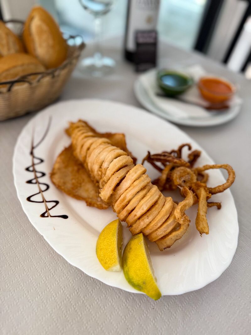 CALAMAR SAHARIANO 03