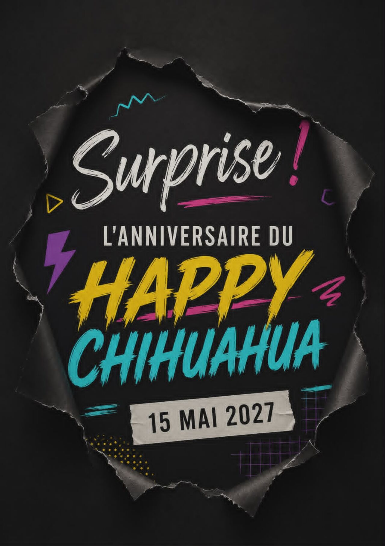15 MAI 2027 10 ANS DU HAPPY CHIHUAHUA !