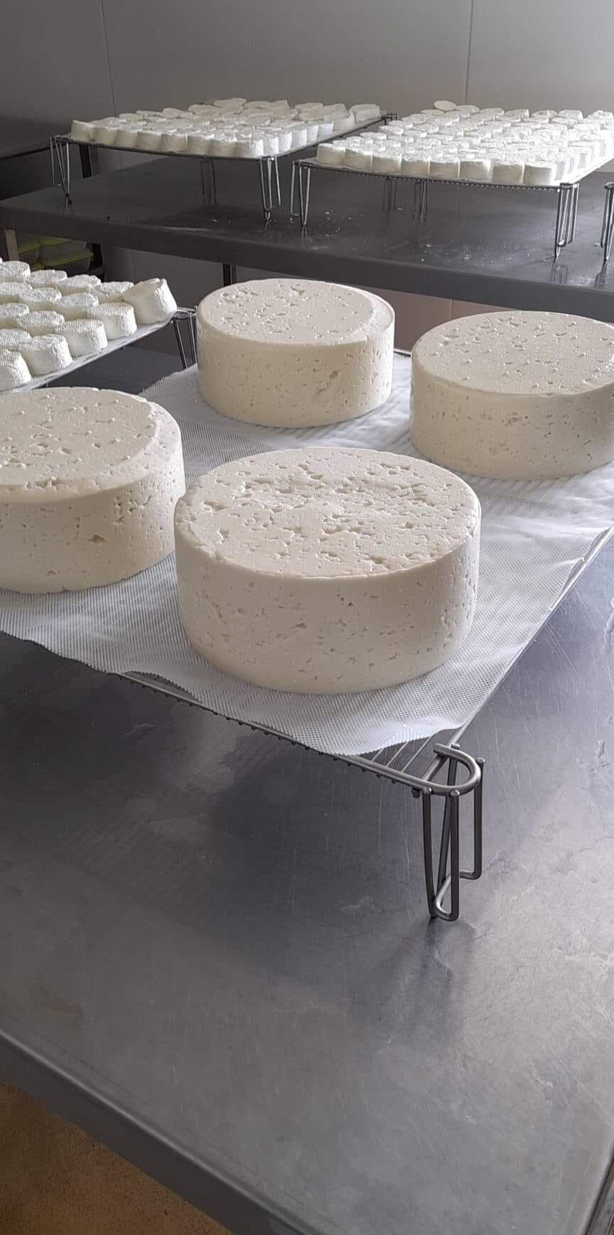 LES TOMMES DE CHEVRES DEMOULEES