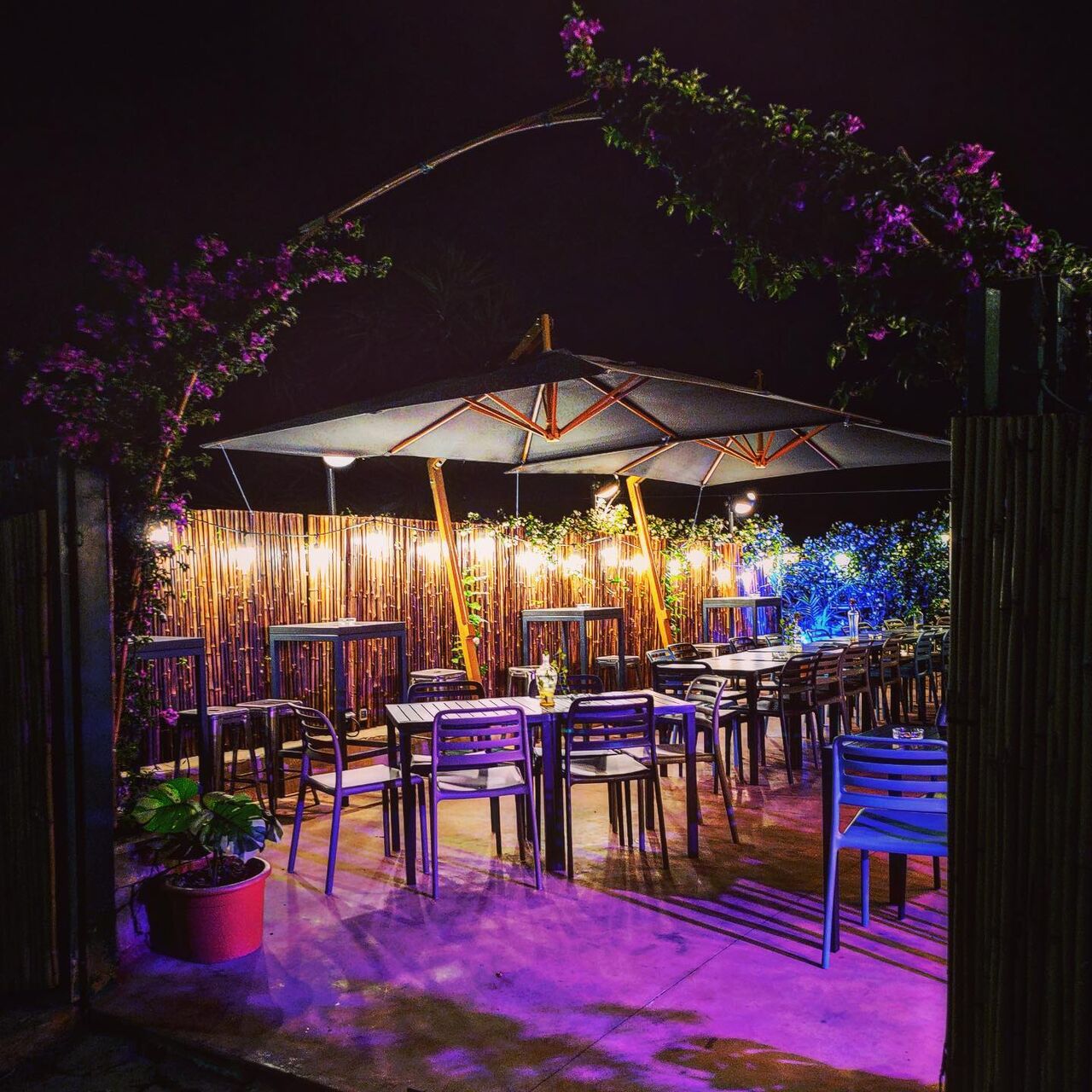 GARDEN (ESTERNO)