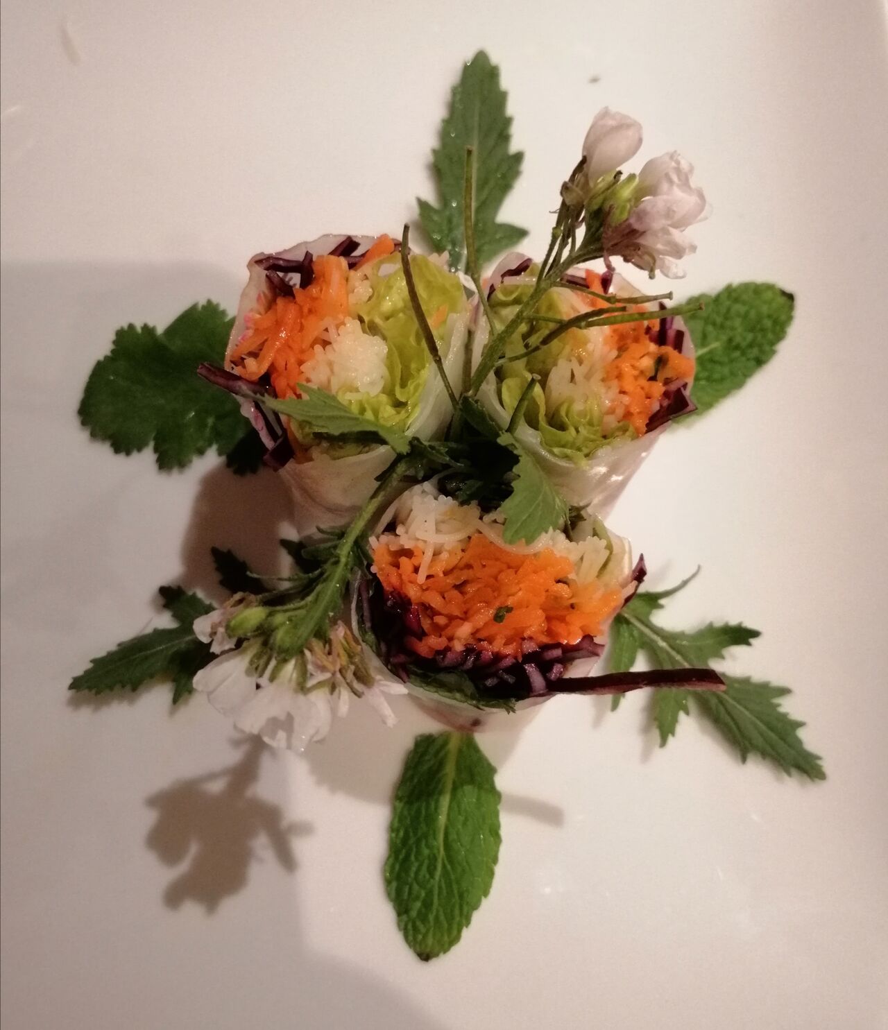 Rouleaux de printemps fleuris