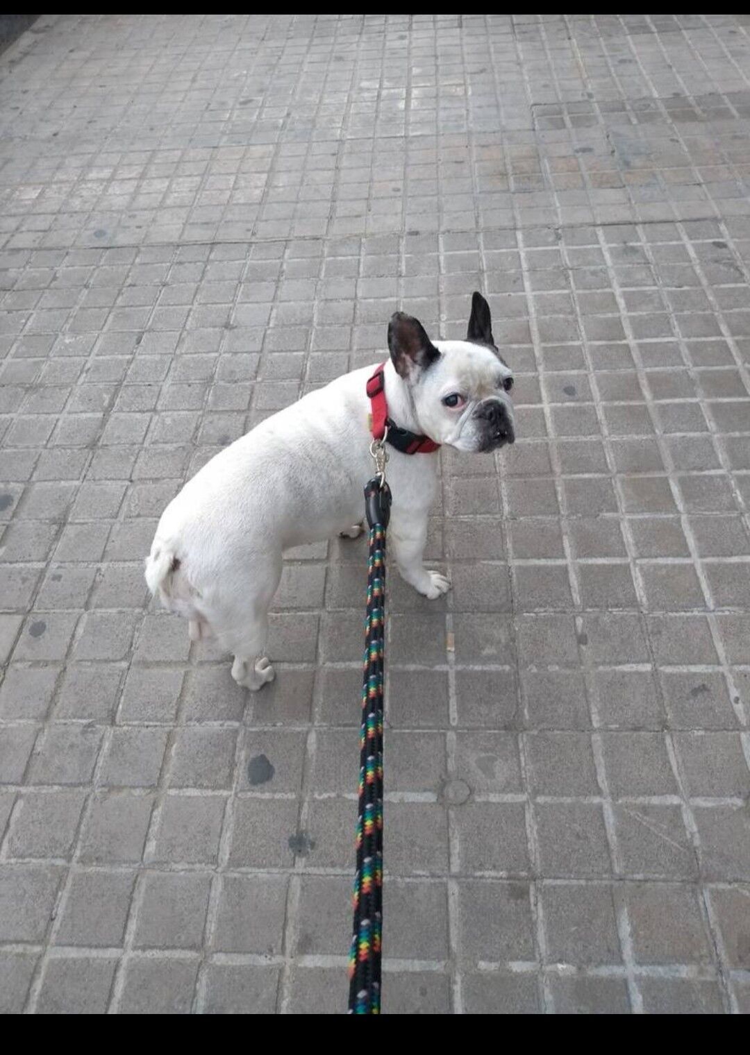 Tarifa una Chica Mona😊