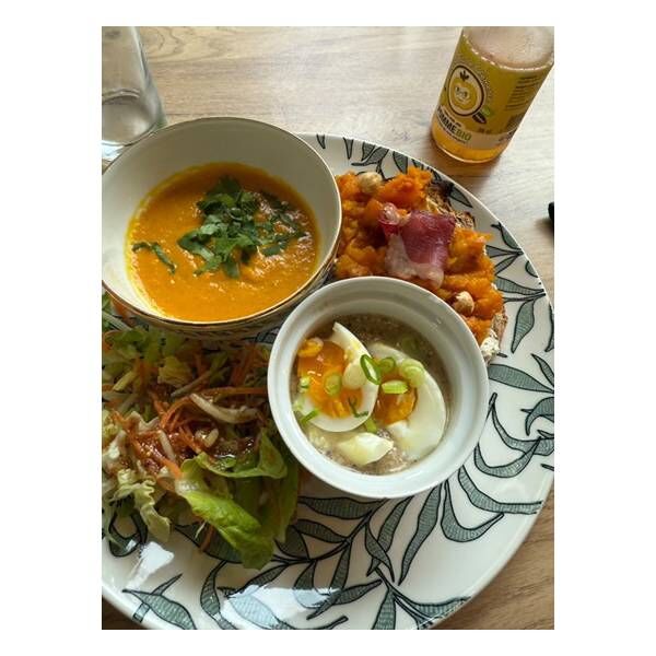 Brunch avec animaux à Brive – cinq chats en liberté et ambiance cosy