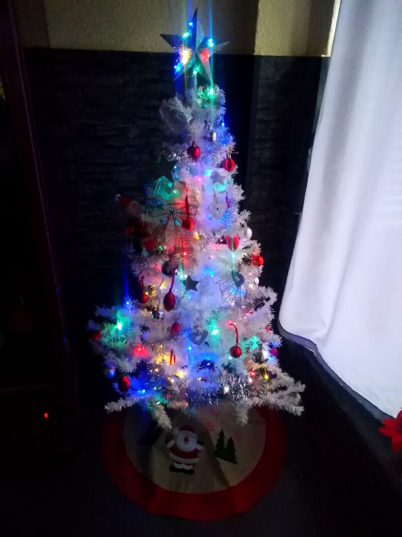 Nuestro árbol de Navidad, Navidad modo on ?????????☃️❄️???!!!! 