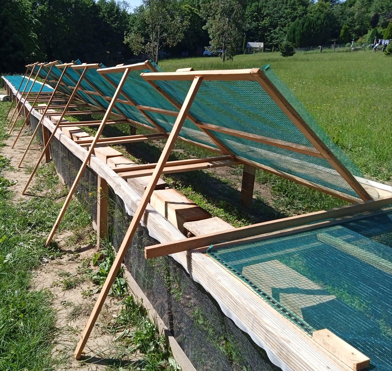 Ancien parc d'escargots et de nuisibles