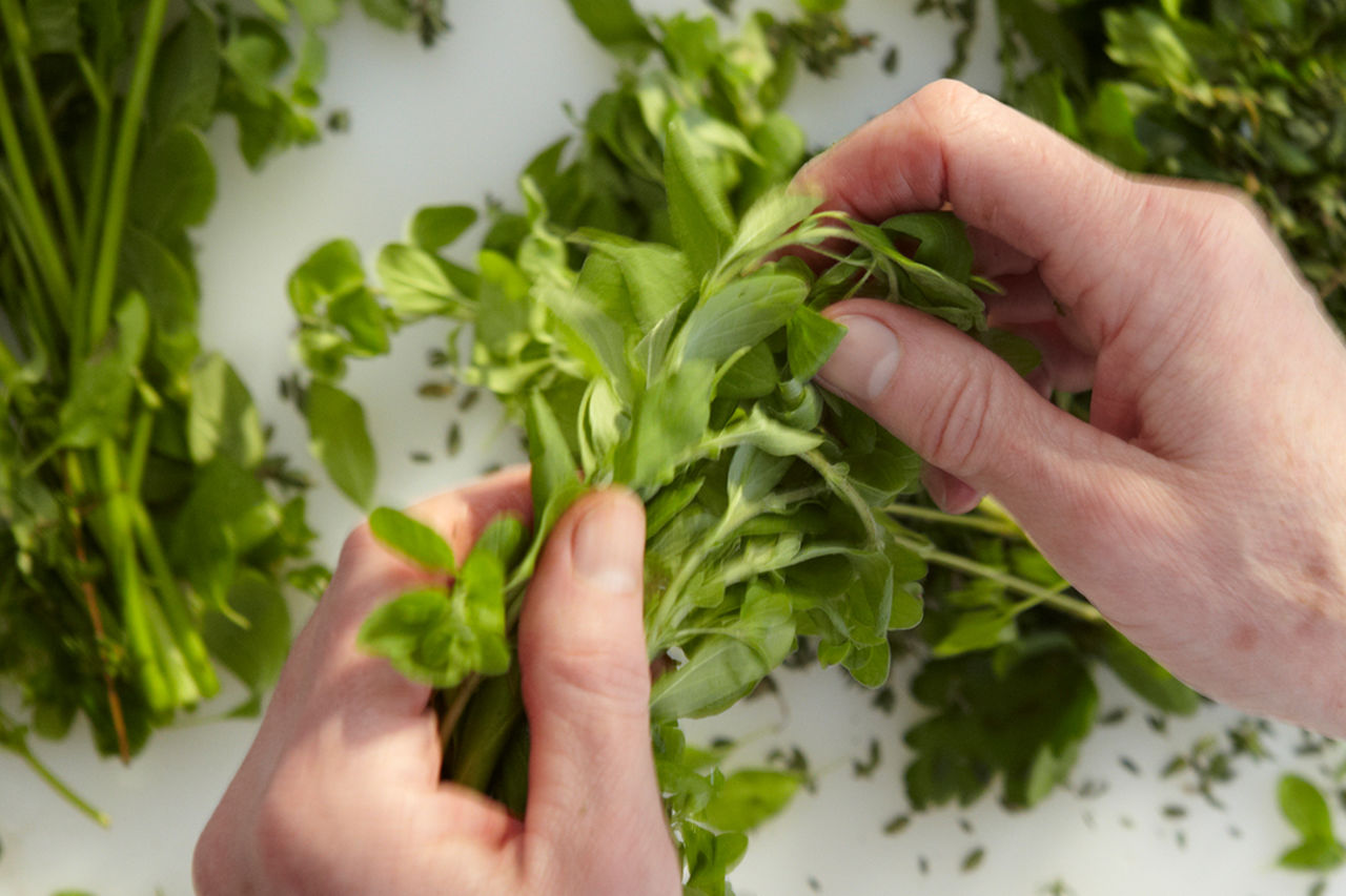 Liebe Gäste, jede Pizza