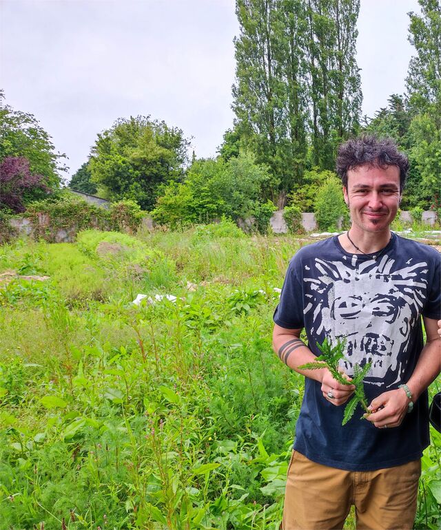 Nos tisanes sont confectionnées par Stanislas (Le jardin Feuille) à partir des plantes aromatiques qu'il cultive en bio.