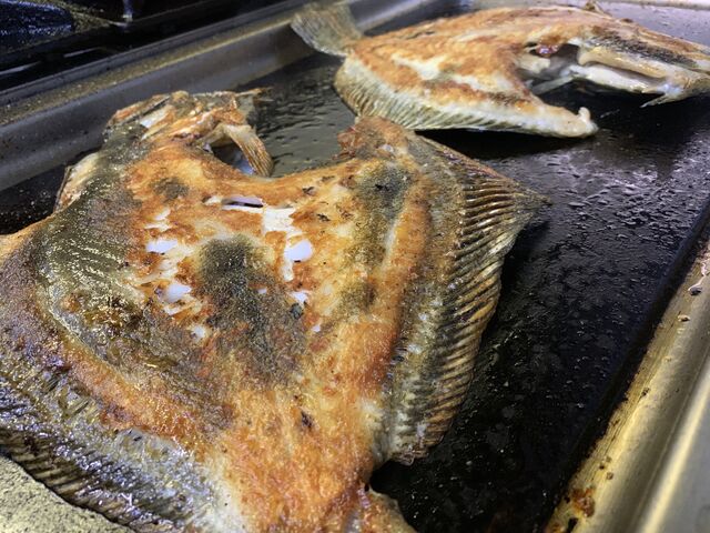 Baby Steinbutt vom Grill