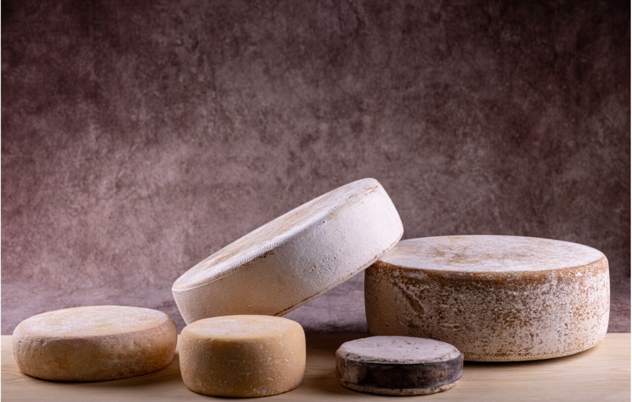 Nos fromages au lait de Savoie