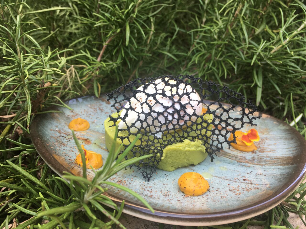 Oeuf Poché, Crème Froide Petits Pois, Coco/Curcuma