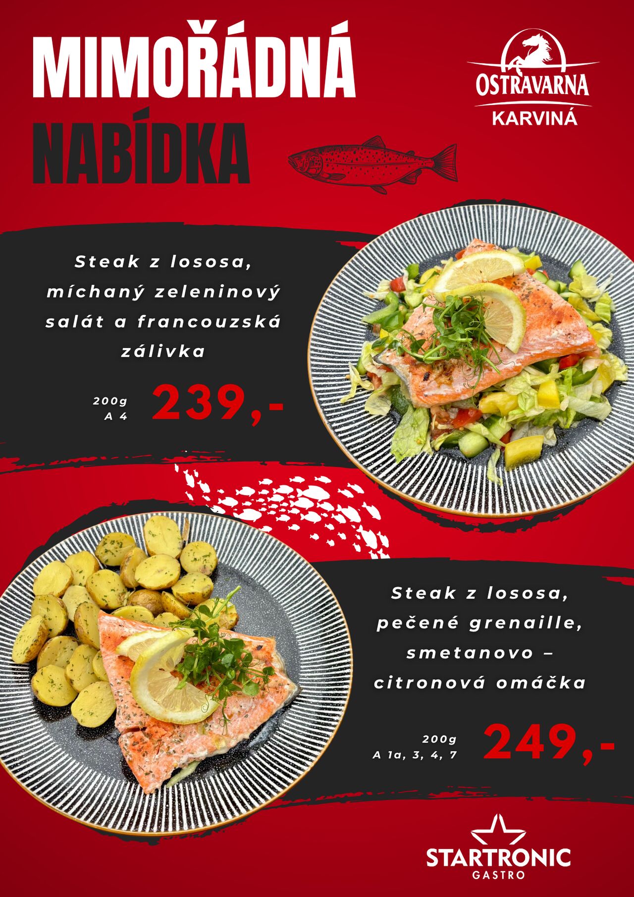 Mimořádná nabídka s lososem 🐟