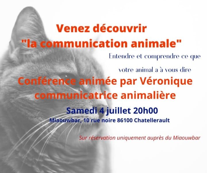soirée à thème du samedi 4/7/2020 par Véronique 