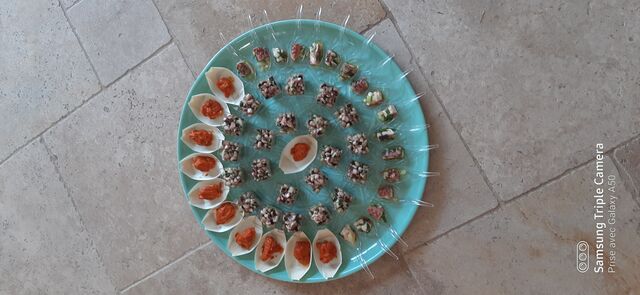 amuses bouches portugais
petits encornets farcis
poulpes en cuillères
feijao fradinho en verrines