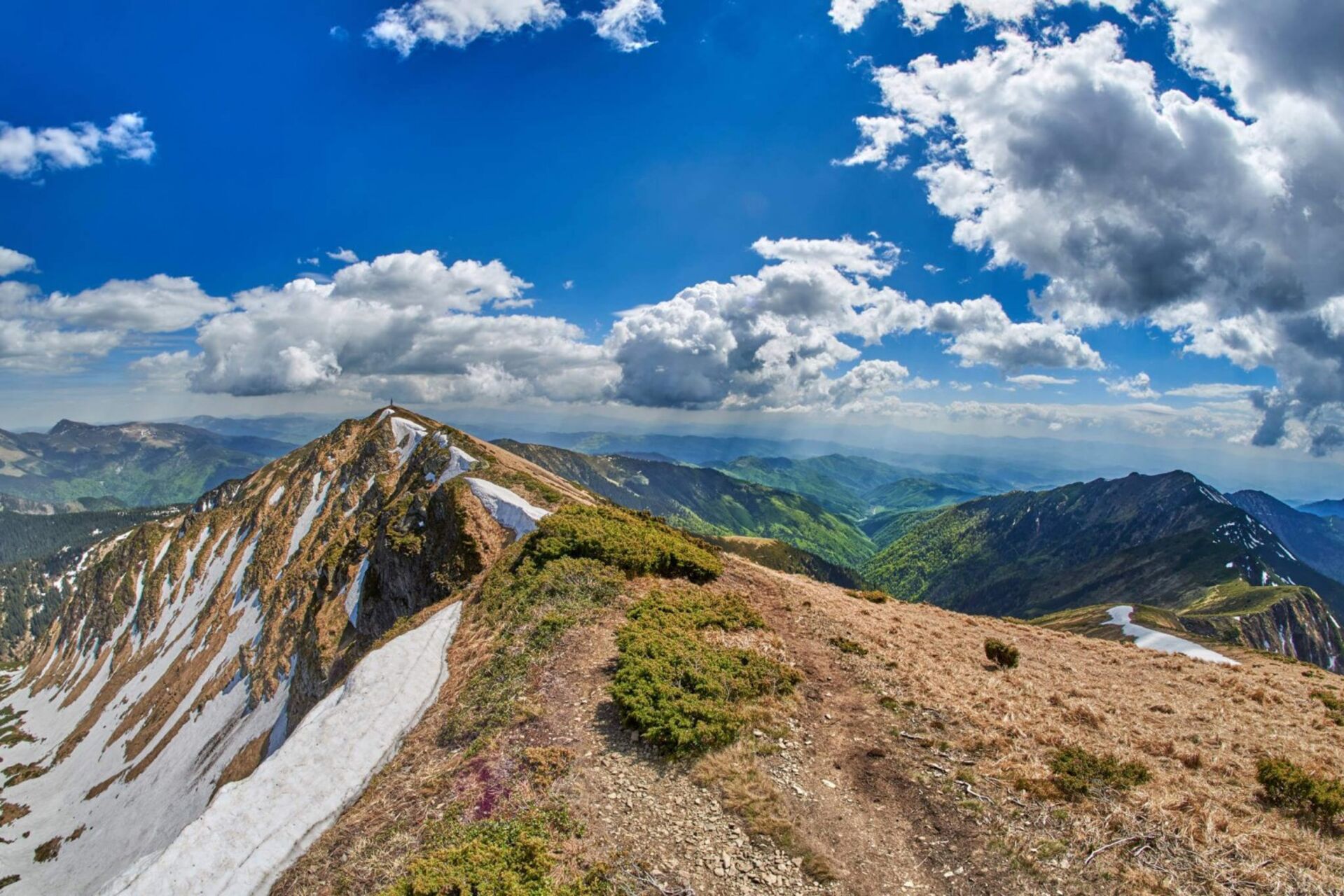 Parcului Natural Munții Maramureșului