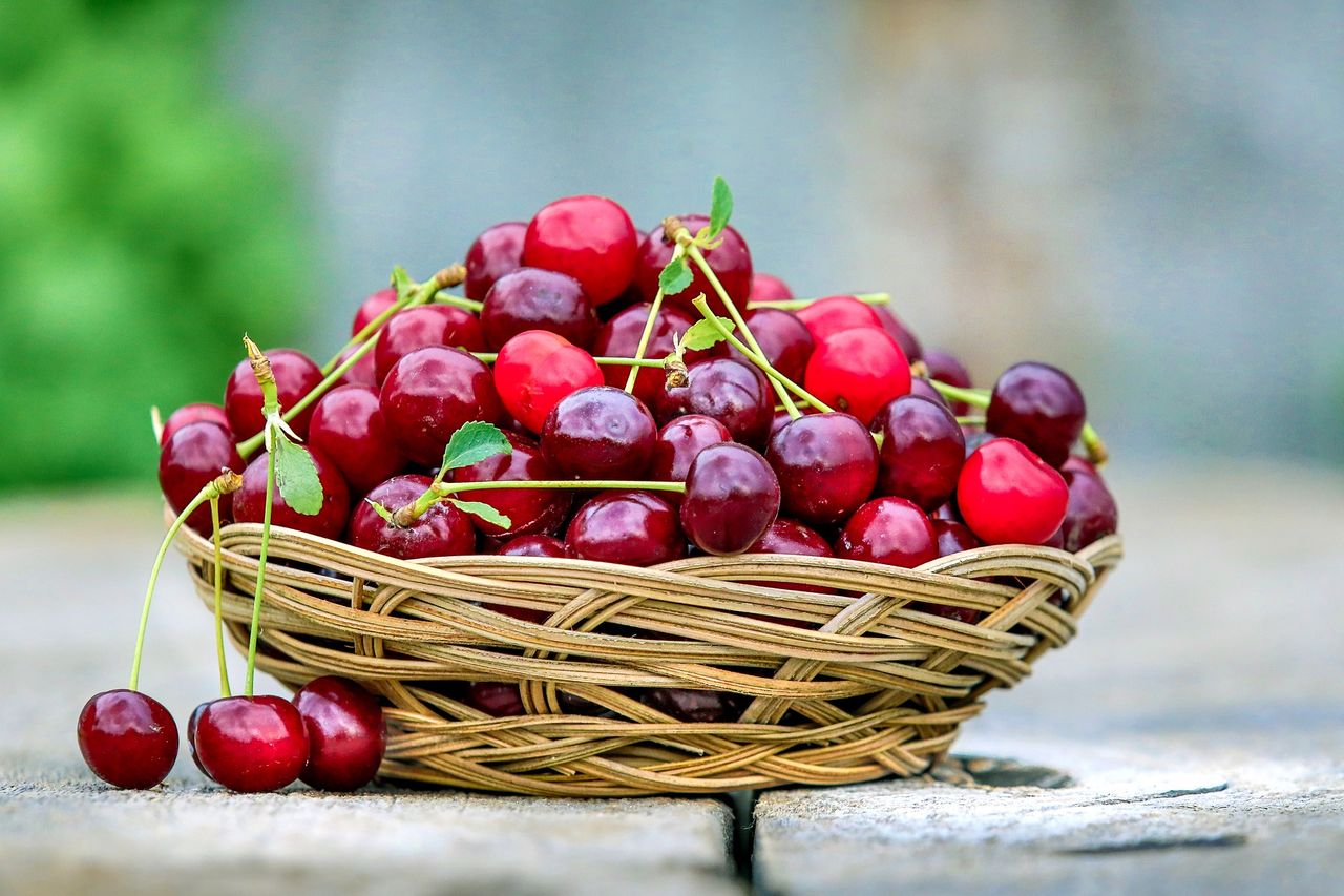 Les Cerises à la plage