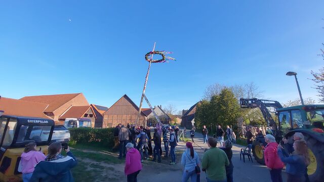 Maibaum ist wird gesetzt