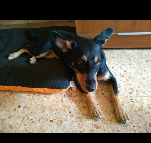 Luna cuando estaba pequeñita 🤗