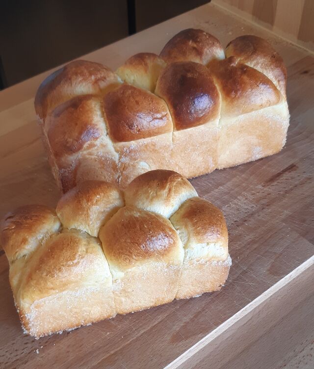 Brioche Nanterre nature