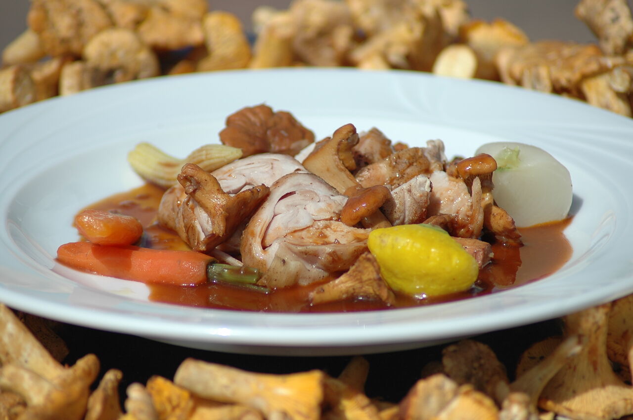Râble de lapereau aux girolles 