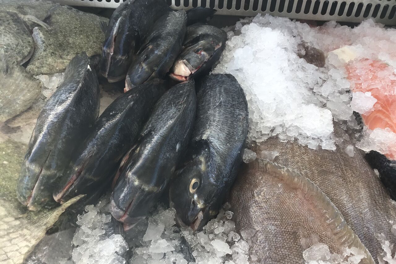 Melhor peixe da Fuseta