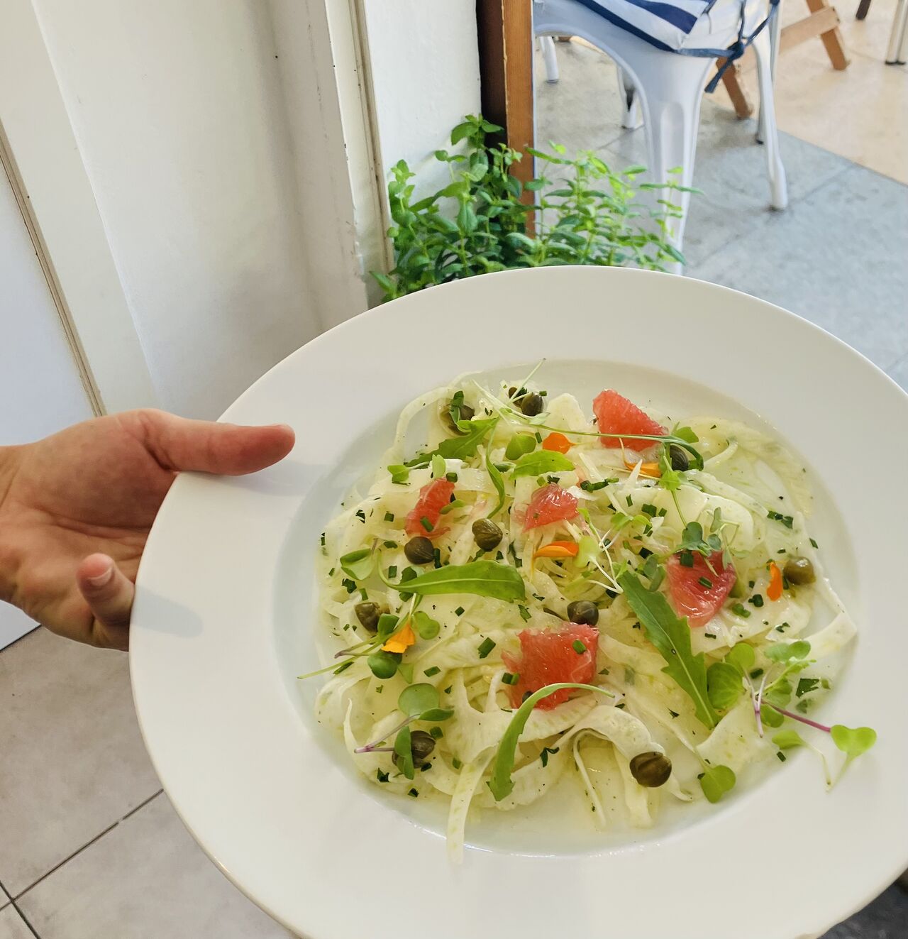 Fennel Carpaccio 