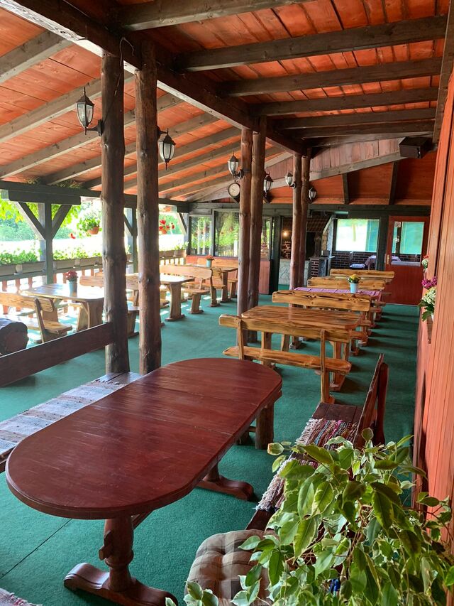 Naša terasa okružena zelenilom