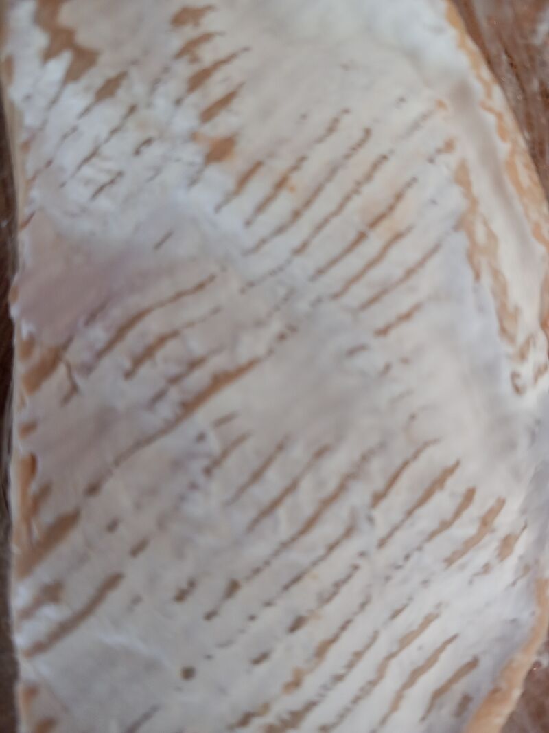 PATE MOLLE A CROUTE FLEURIE