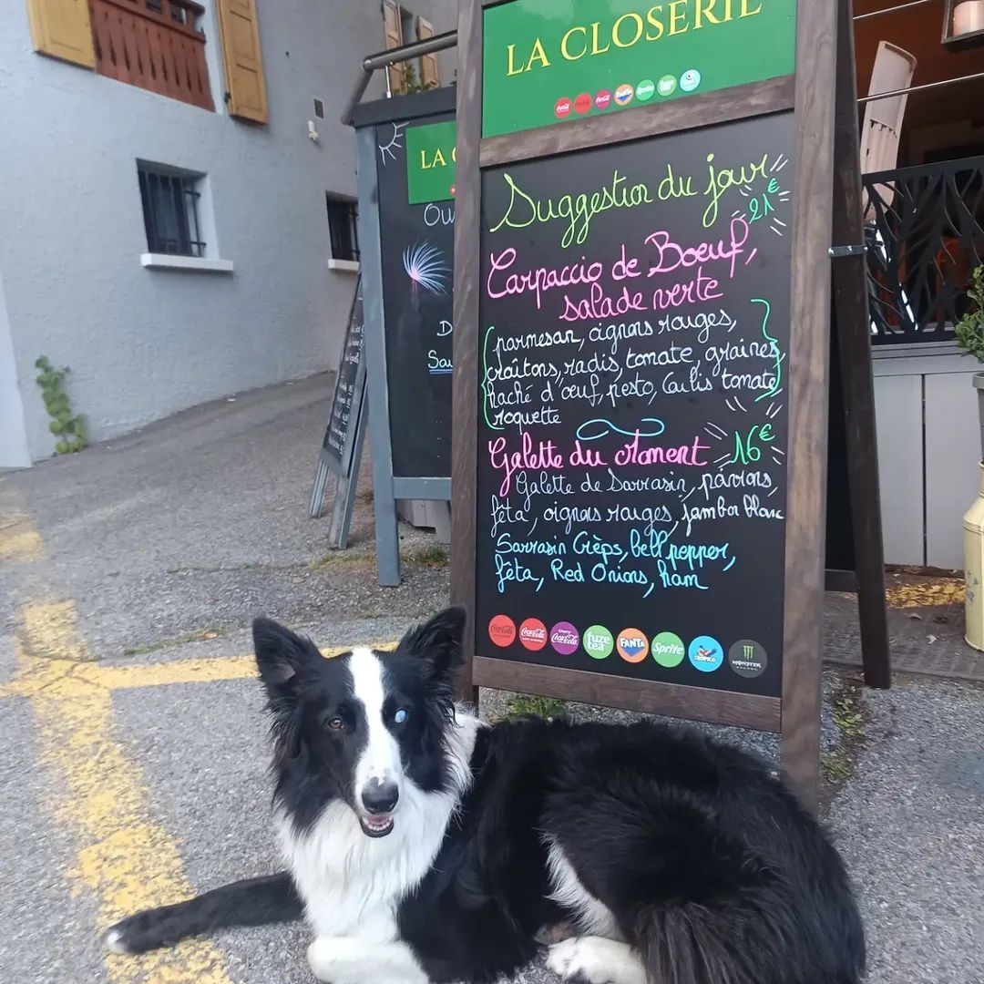 Bijou et les suggestions du Moment