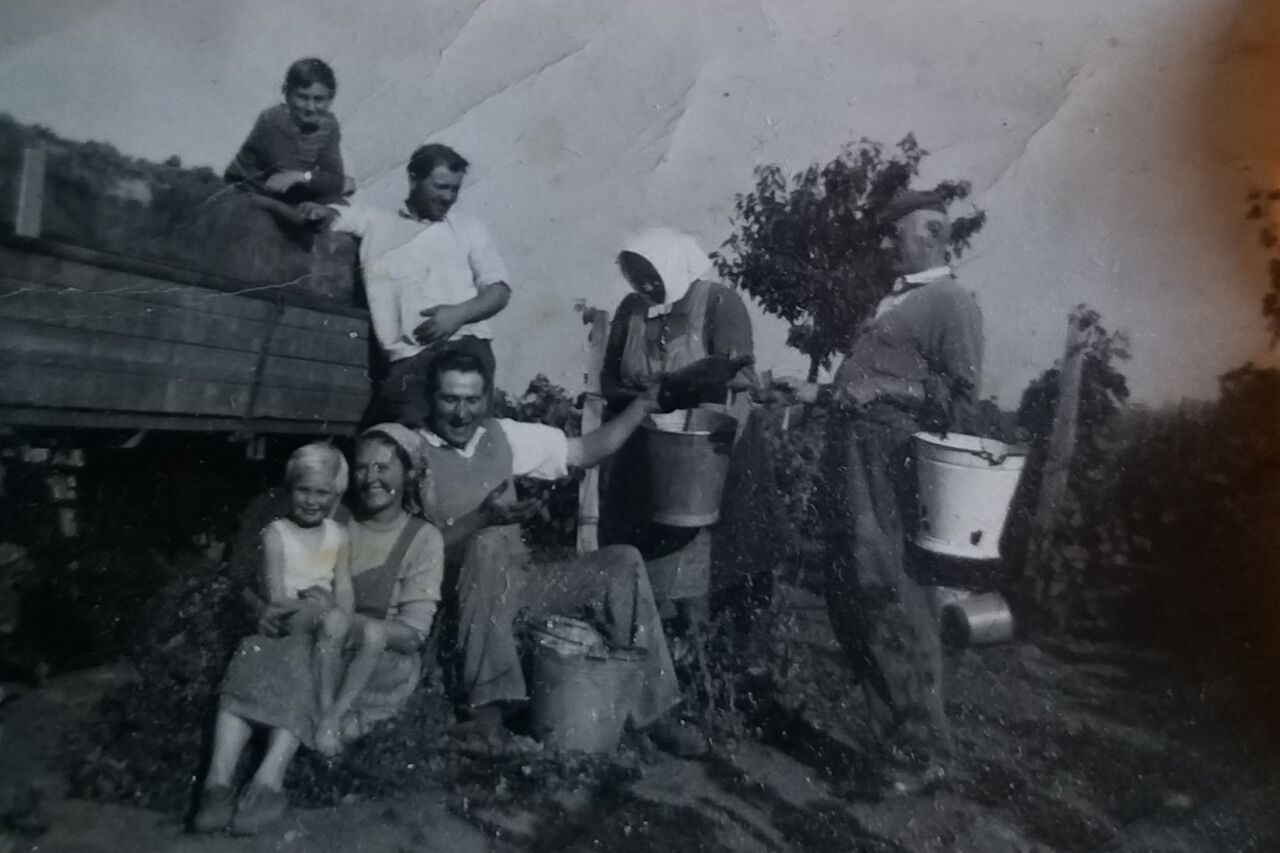 SailerS Vinothek Burgenland