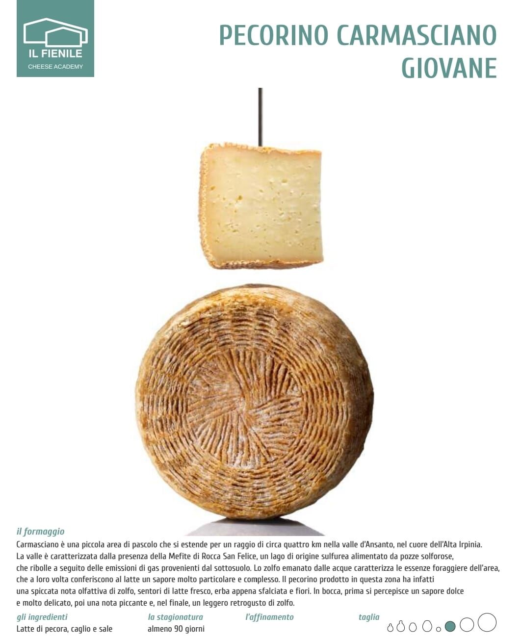 Pecorino Carmasciano Giovane