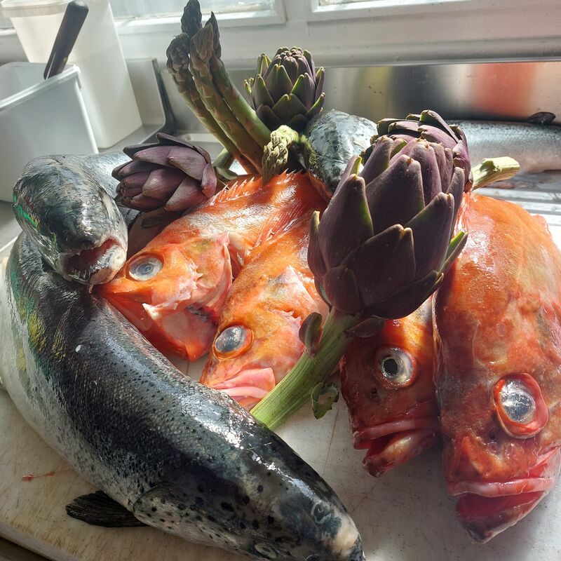 Saumon et dorade Sebaste