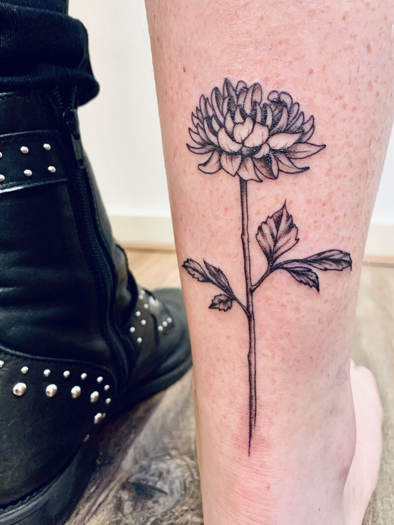 Chrysant - voor Judith