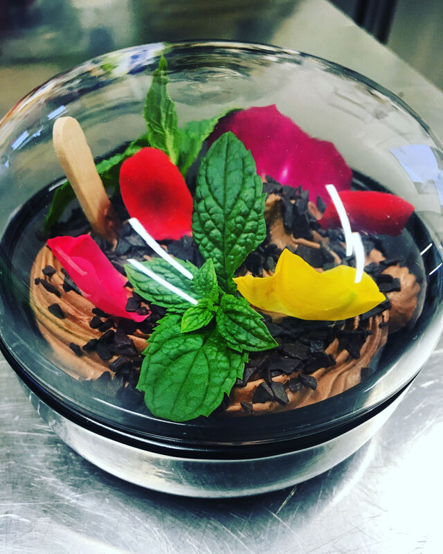 MOUSSE TERRARIUM