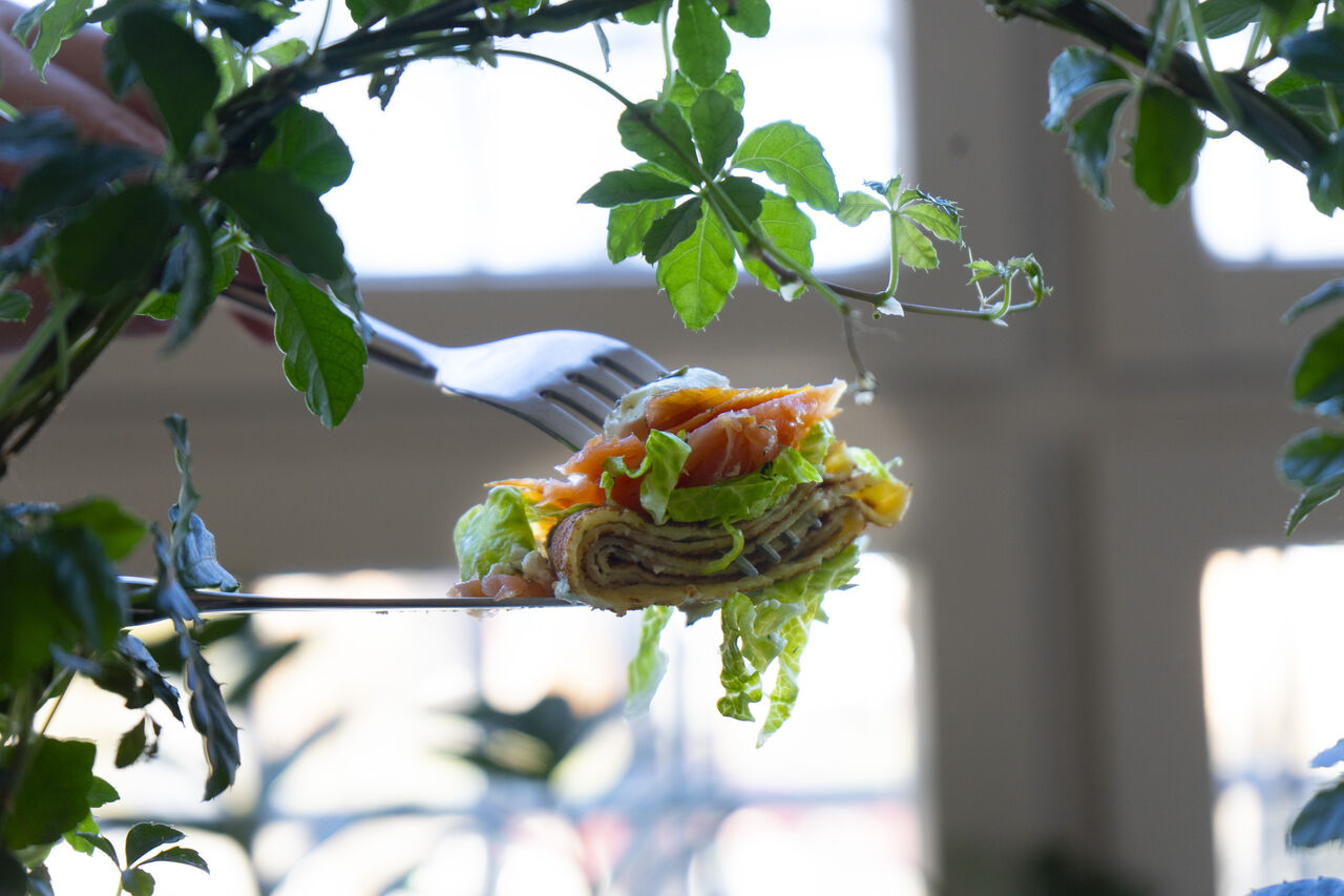 Blintschiki mit Lachs