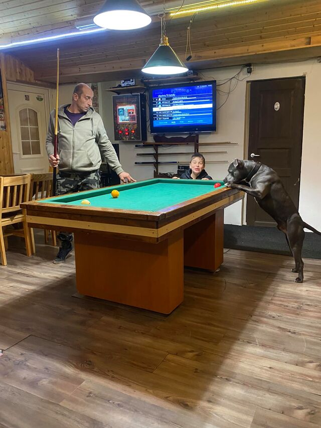 možnost si zahrát kulečník