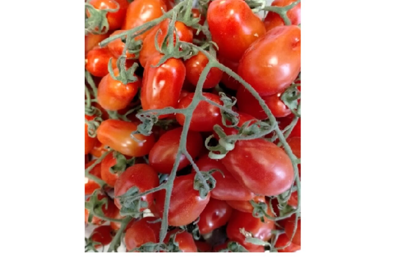 Pomodorino del Piennolo del Vesuvio