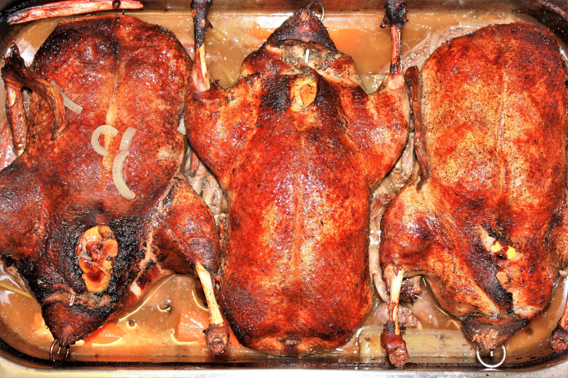 OKTOBER – DEZEMBER 2025 ist „ENTEN“ Zeit! Getafelt am Tisch!