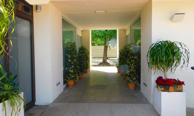 Entrada Alma Mater Terraza