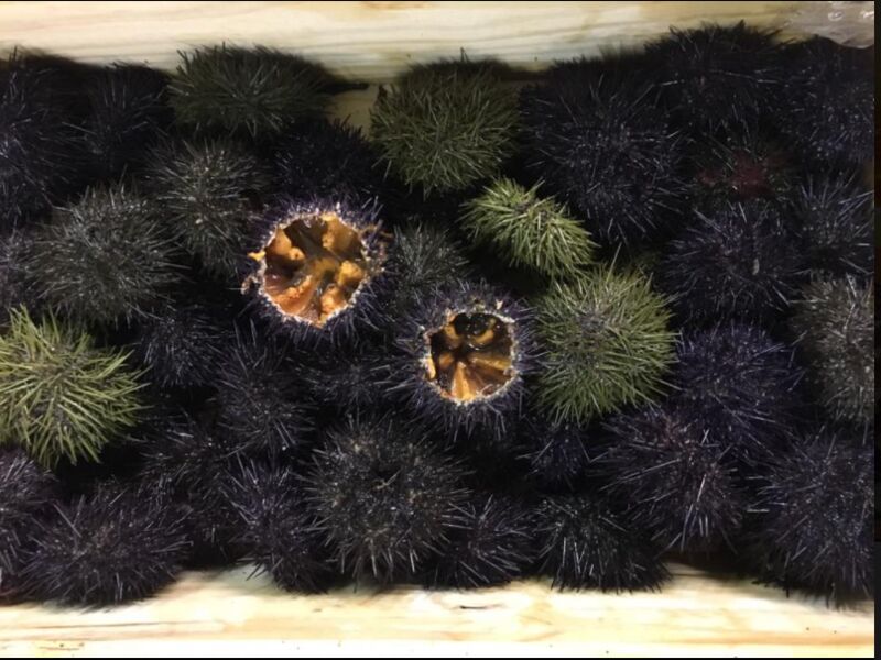 le nostre specialità sempre fresche e deliziose 