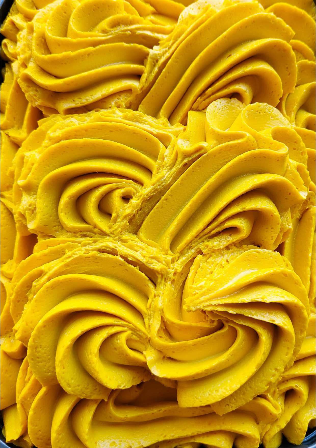Fondez pour la sensation soyeuse de notre sorbet artisanal Plein Fruit Mangue Alphonso. 