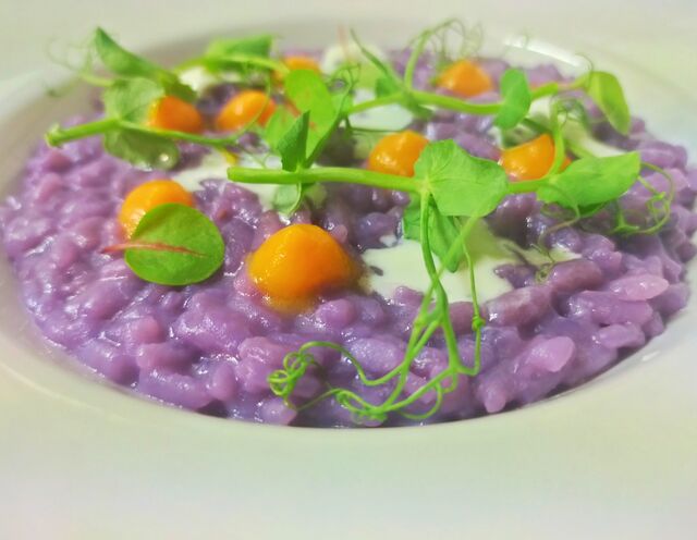 Risotto al cavolo viola, zucca e fonduta di pecorino di fossa
